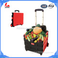 Folding easy to transport OEM foldable shopping trolley cart